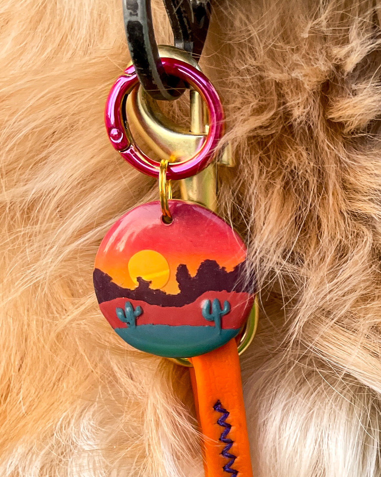 Desert Mountain Tag